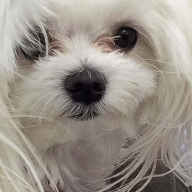 I Do Not Mind Close Ups 🐾