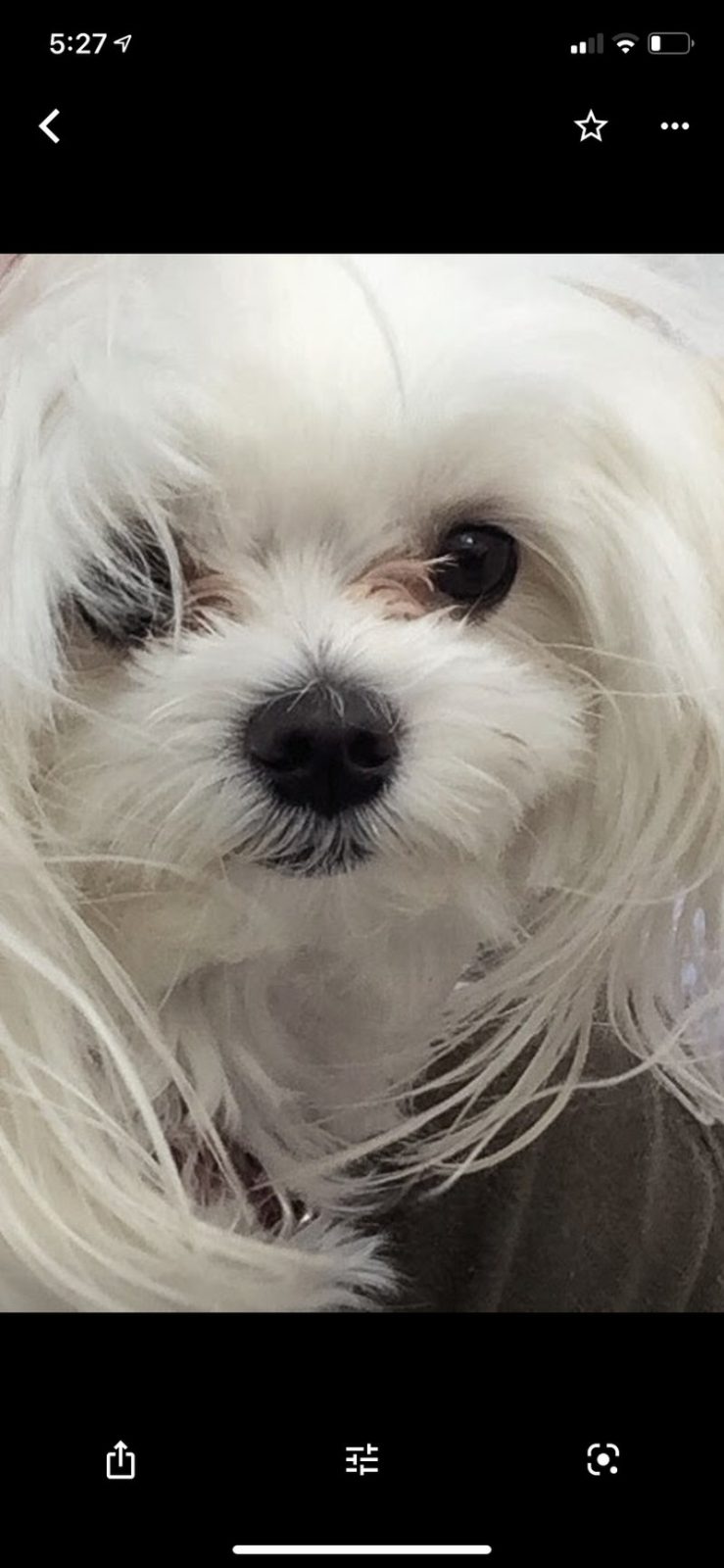 I Do Not Mind Close Ups 🐾