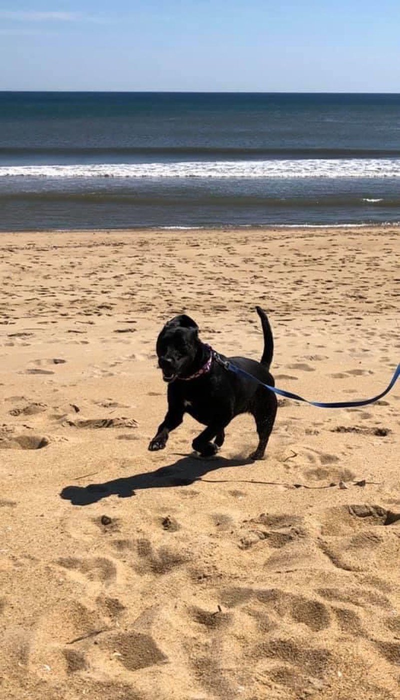 Beauty @ The Beach (Luna Is Her Name)