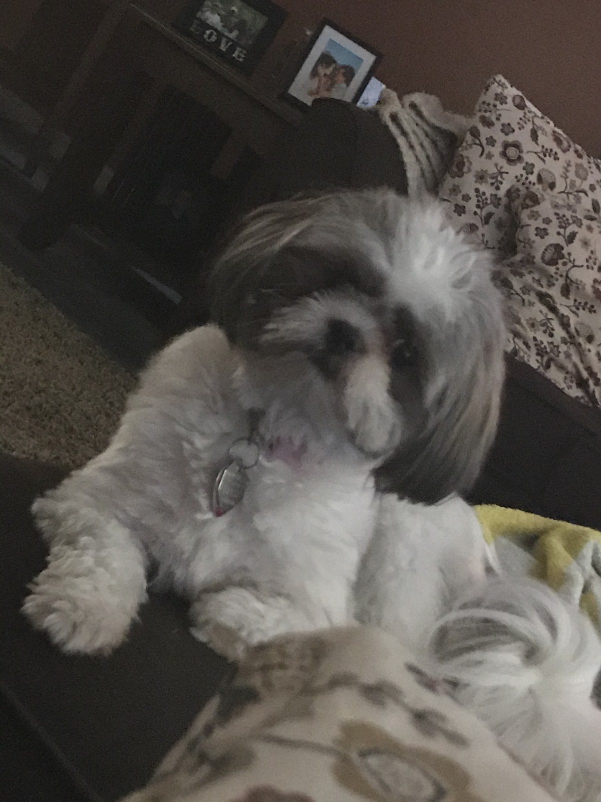 I'm The Cutest Lil Nugget!