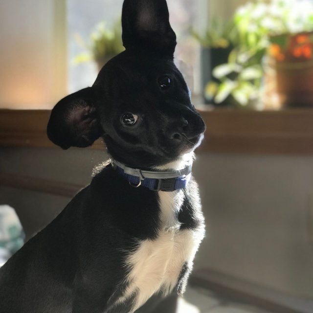Here's My Best Side