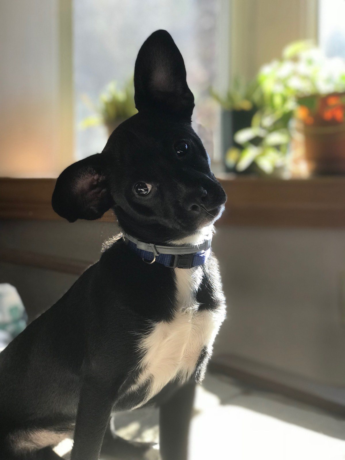 Here's My Best Side