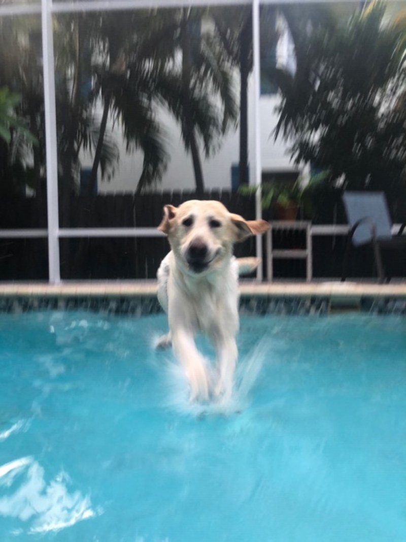 Ollie Walks On Water!