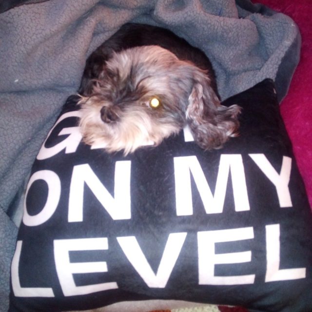 I Hope You Like This Pic Of Buddy