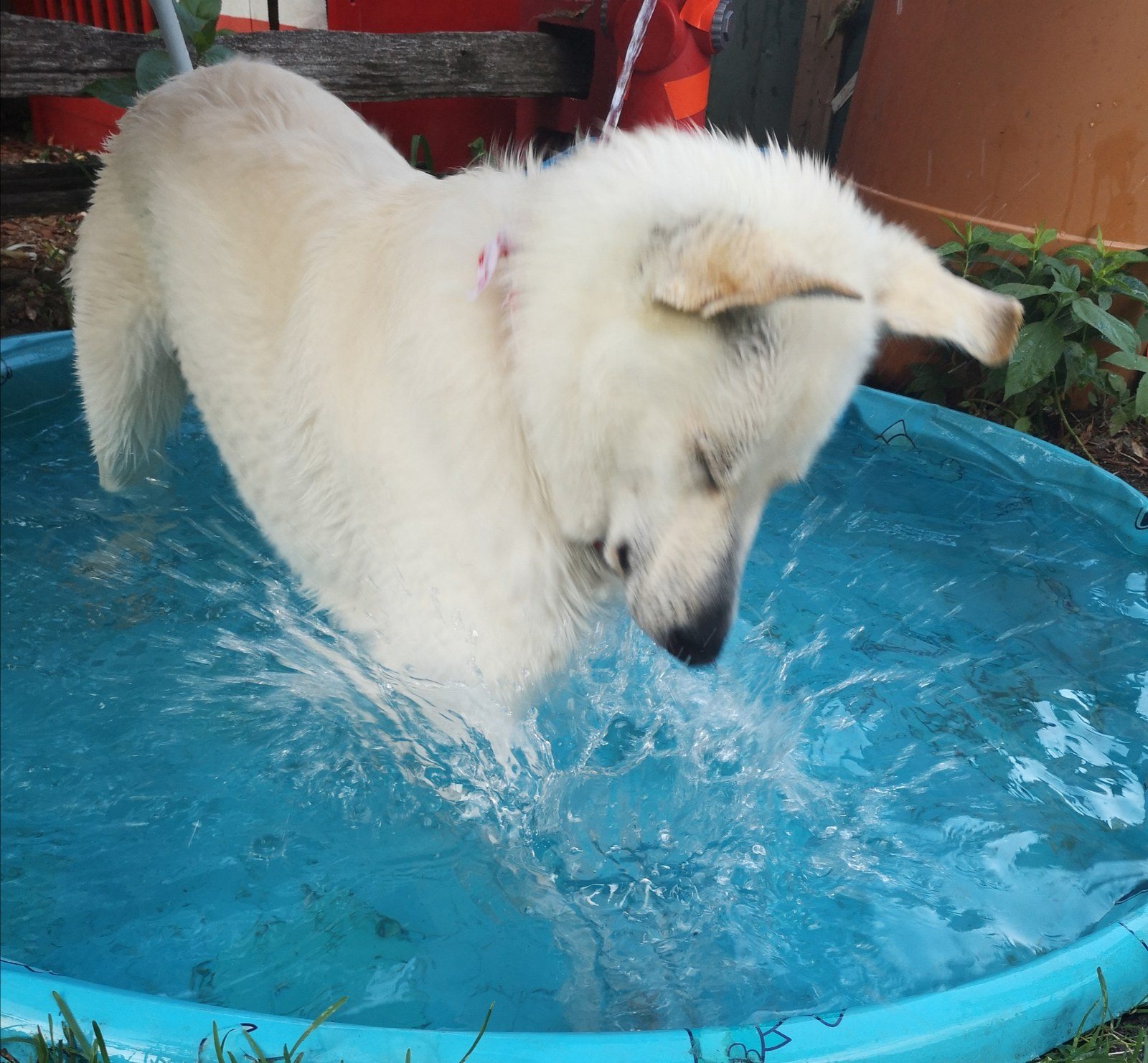 Splash Time