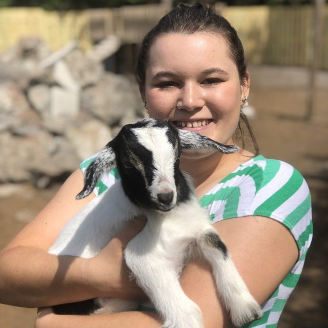 I'm Not A Puppy?