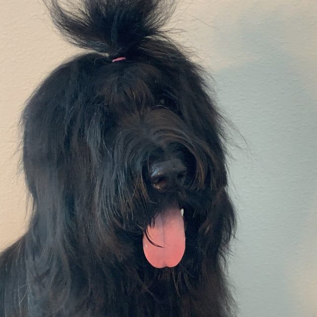 Man Bun