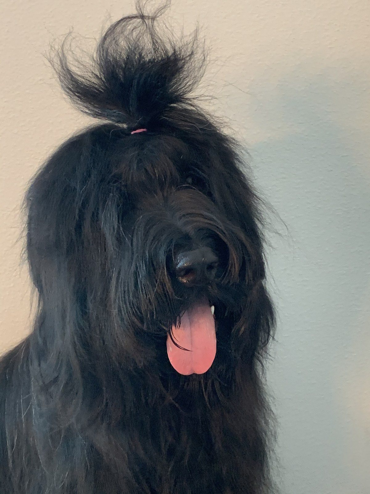 Man Bun