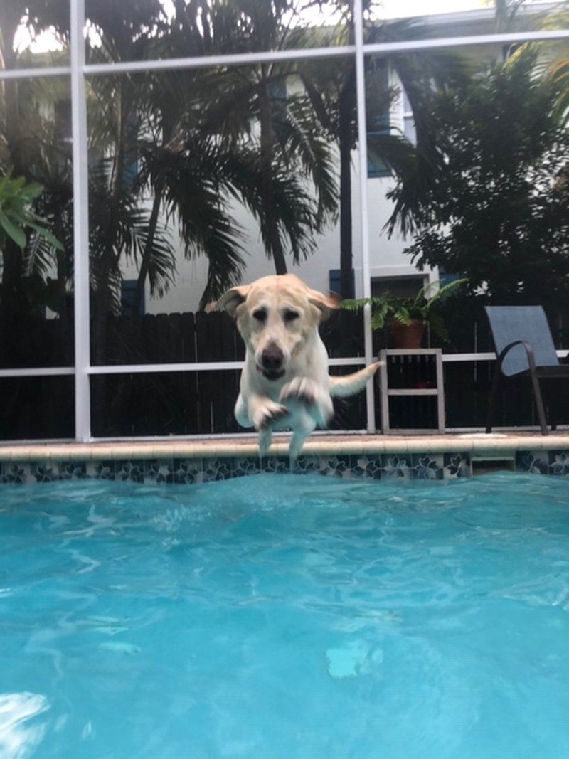 Pool Time!!