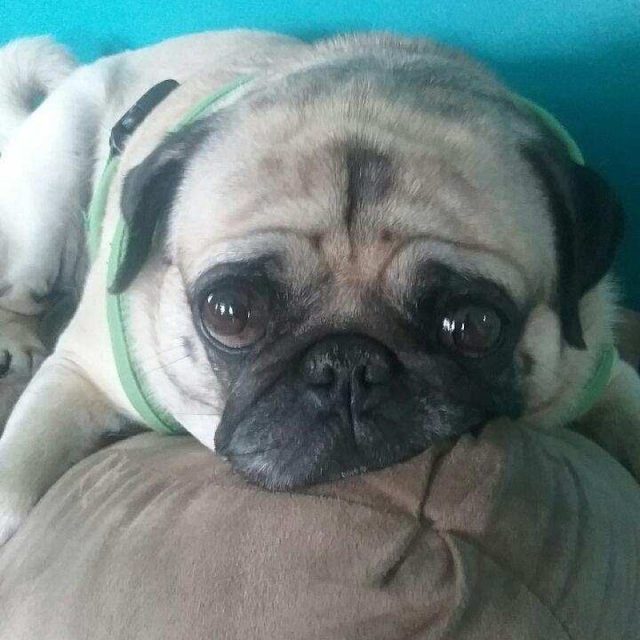 I So Sad