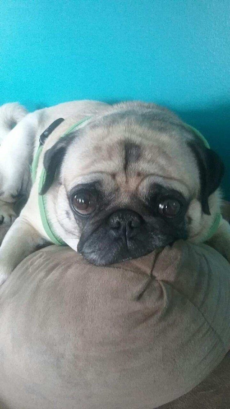 I So Sad