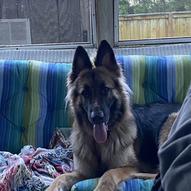 Roxie Girl!