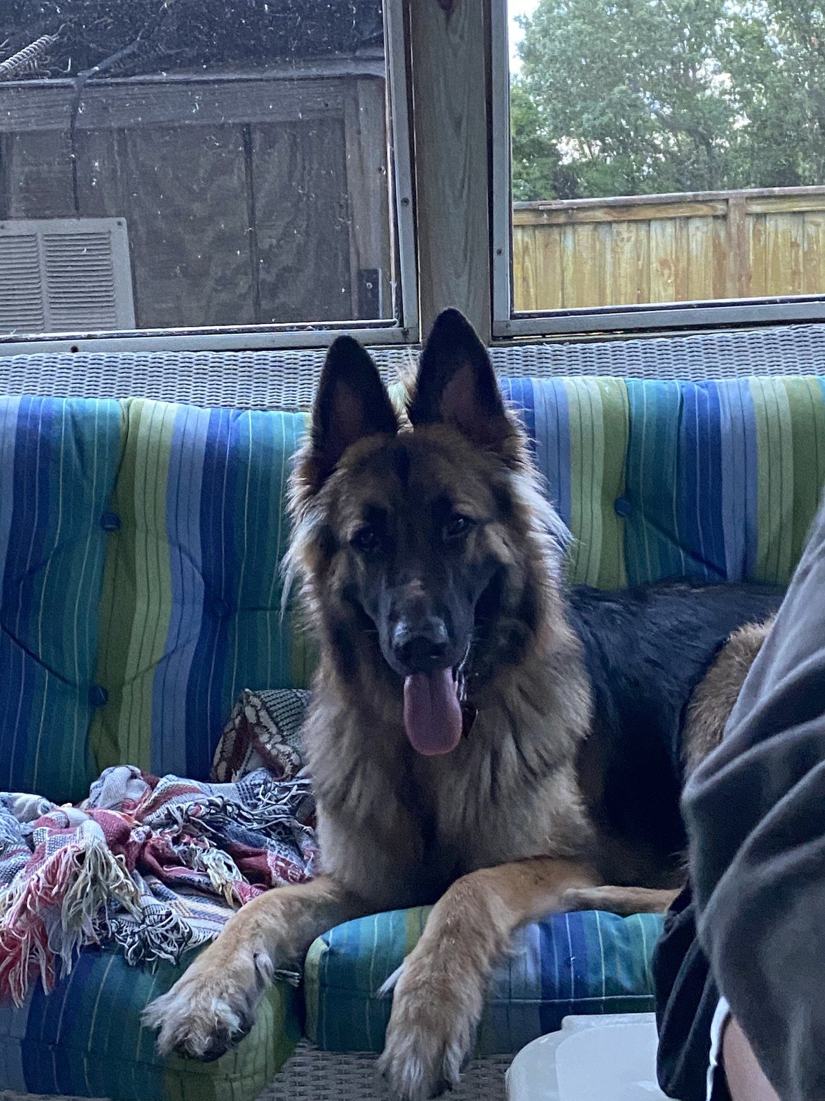 Roxie Girl!