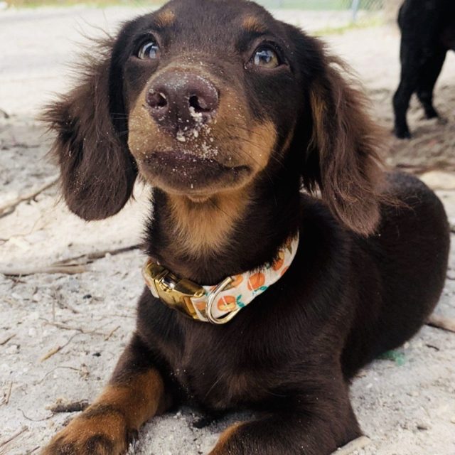 Beach Bum!