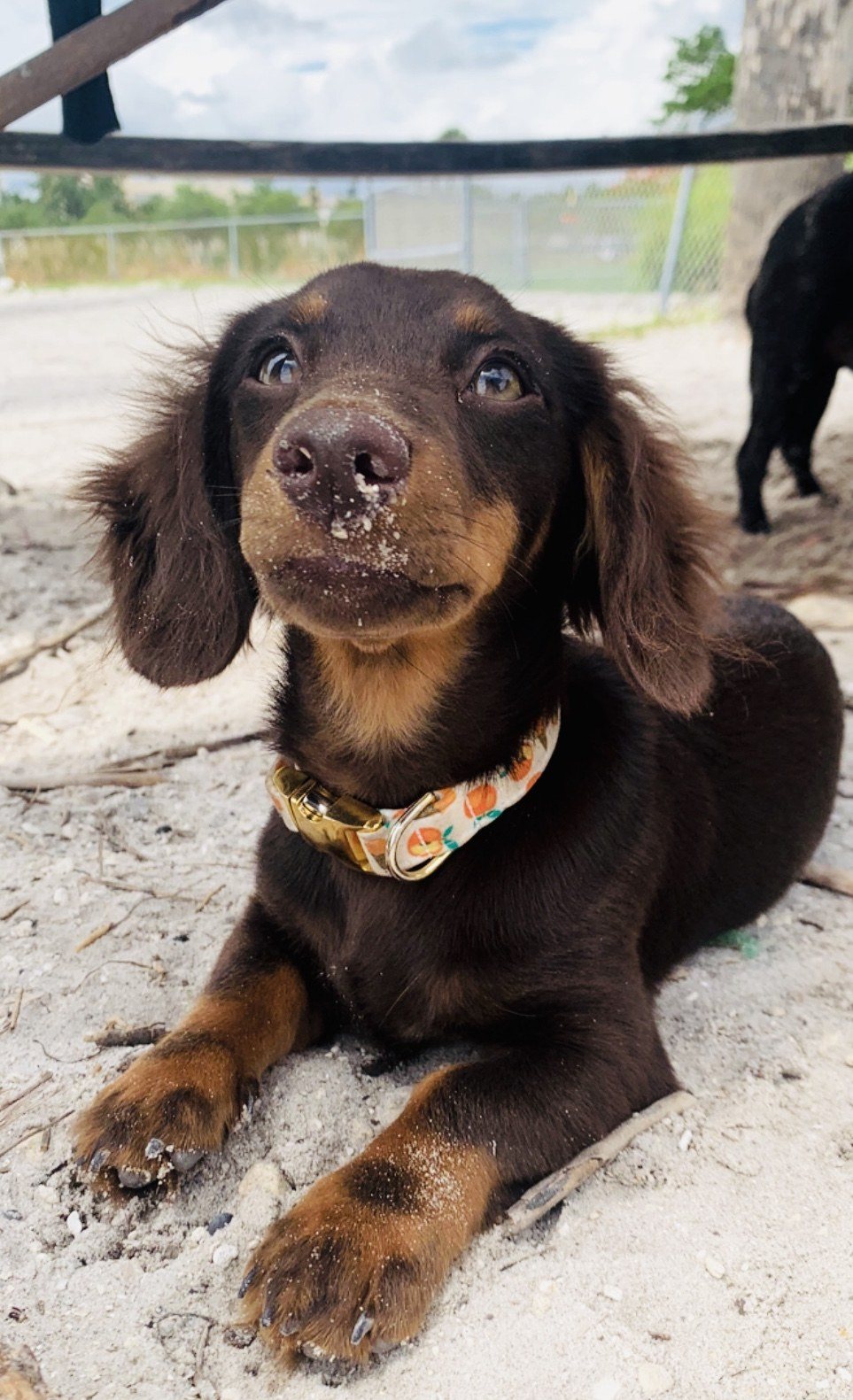 Beach Bum!