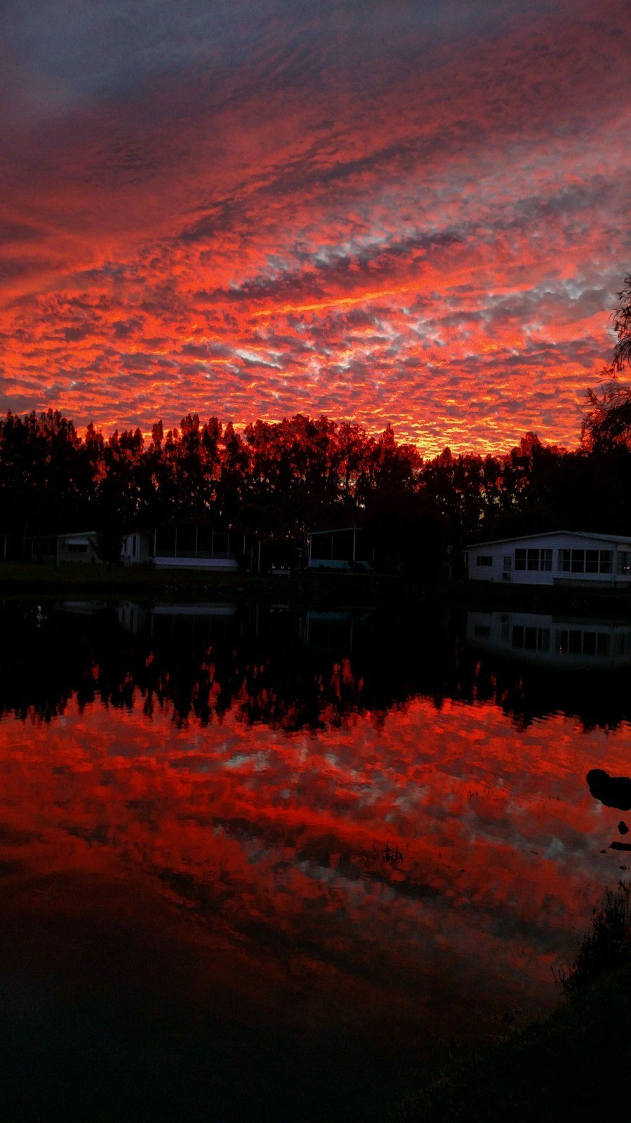 Home Sweet Home!