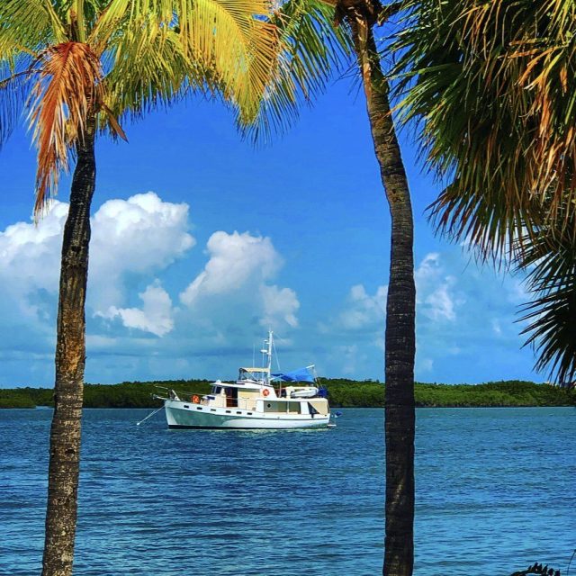 A Boat With A View