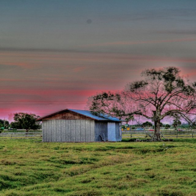 Vero Beach Farm At Dusk : The Other Side Of Vero