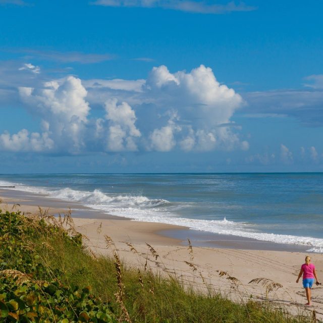Walking The Beach