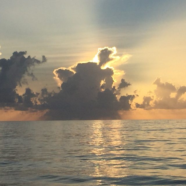 Sea Turtle Sunrise