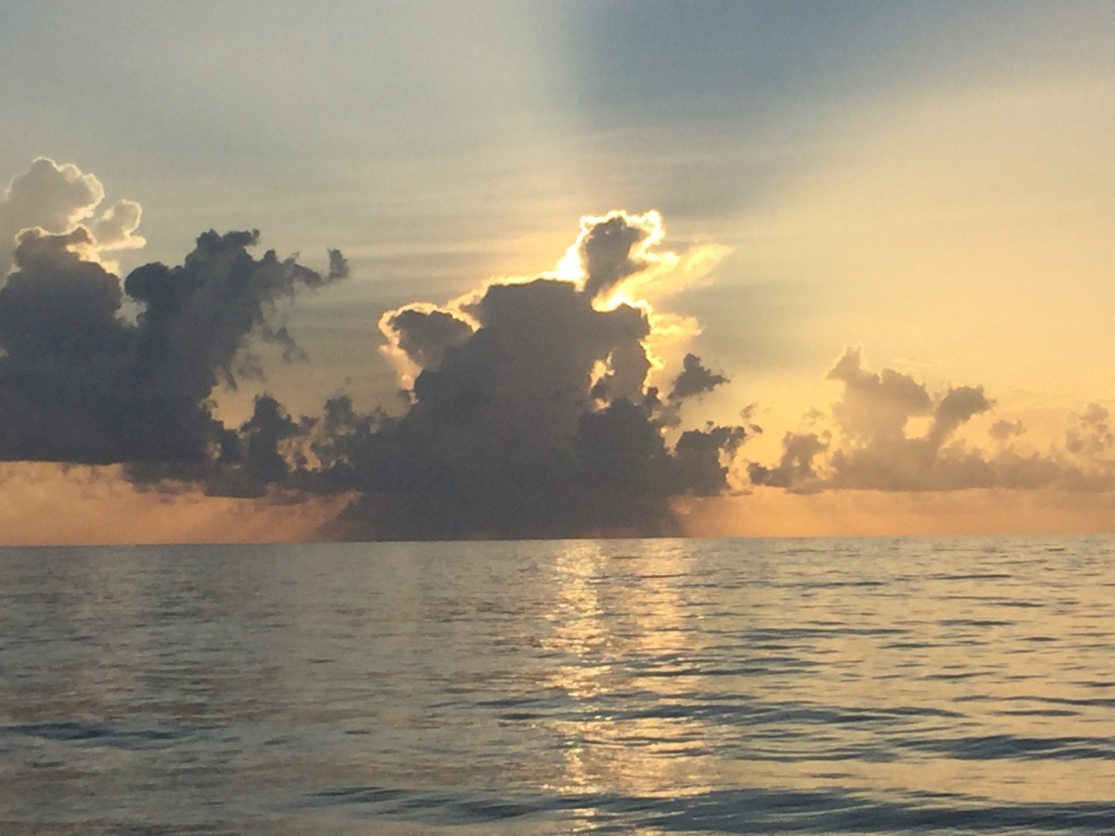 Sea Turtle Sunrise