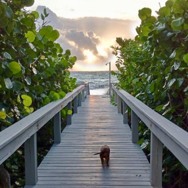 Vero Life... Love It!