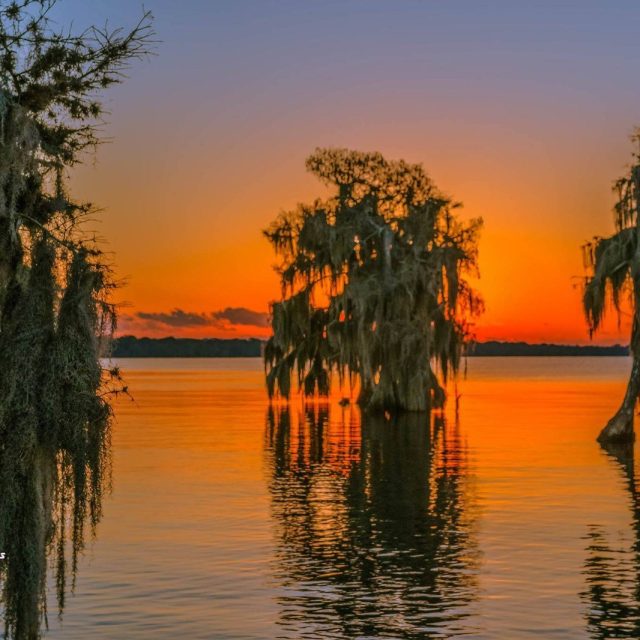 Sunrise At Blue Cypress