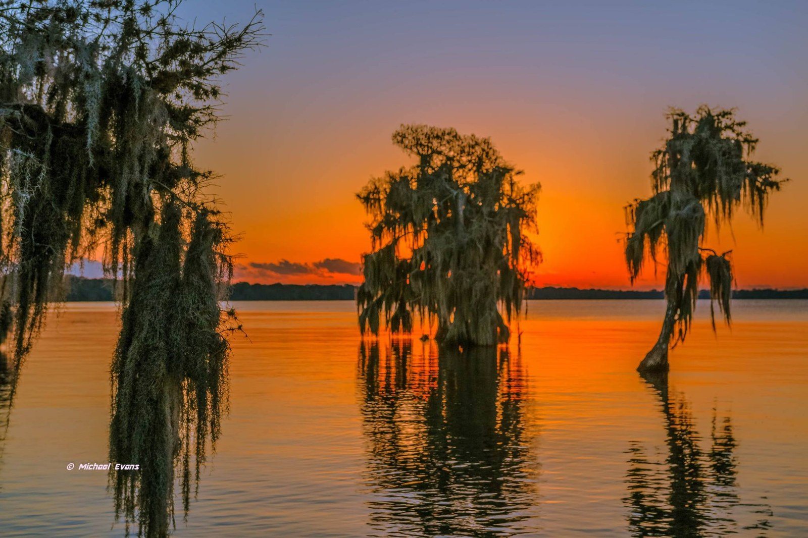 Sunrise At Blue Cypress