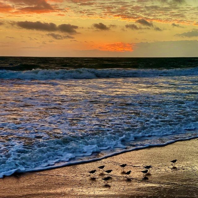 Morning In Vero