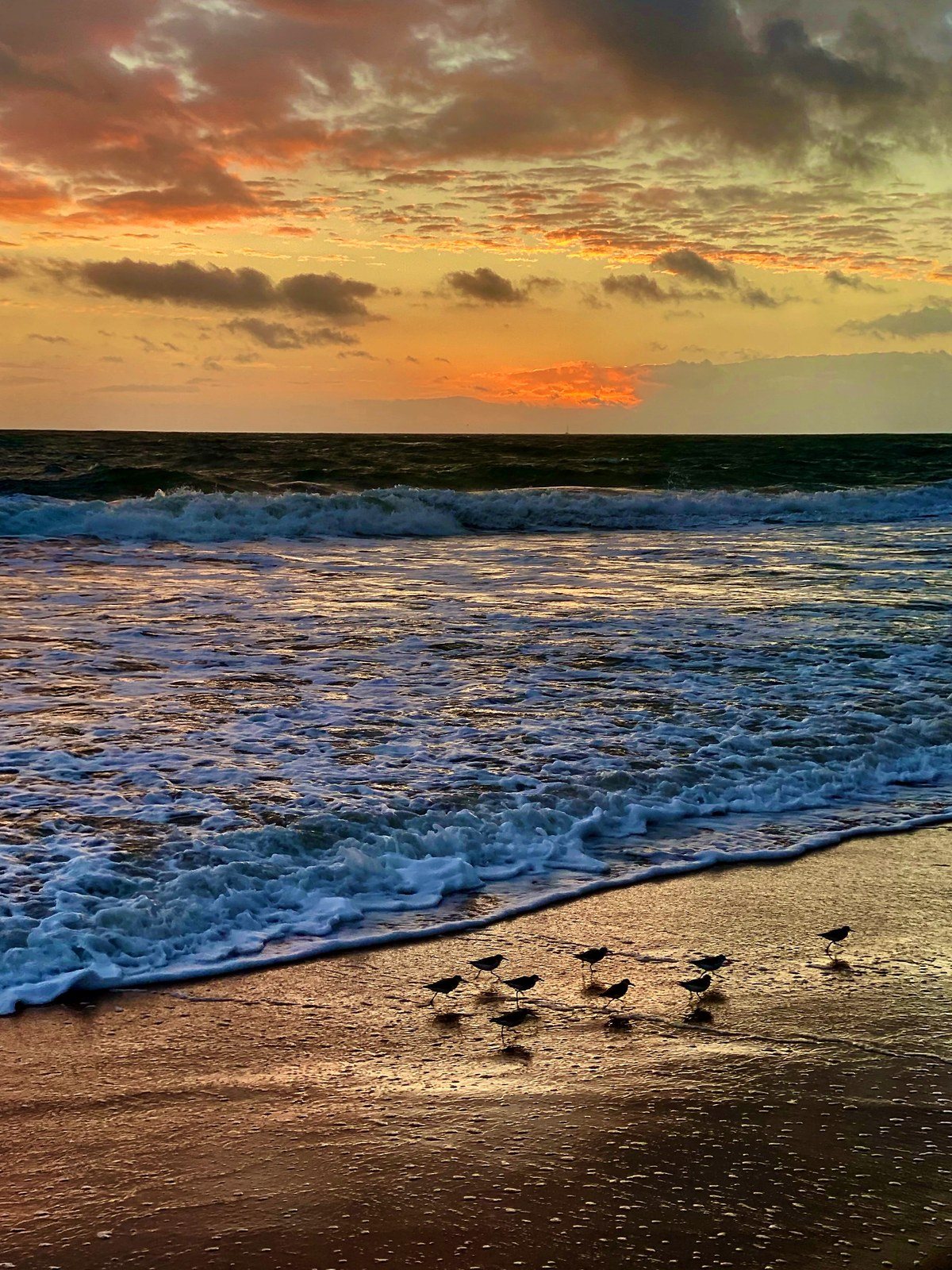 Morning In Vero
