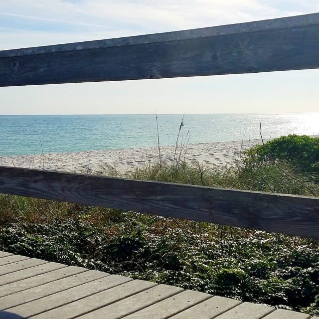 Boardwalk Vignette