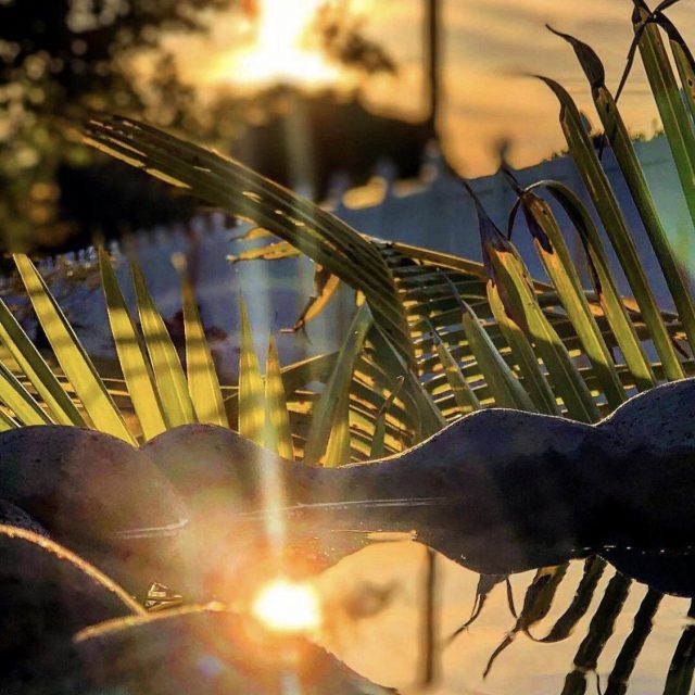 Bird Bath View