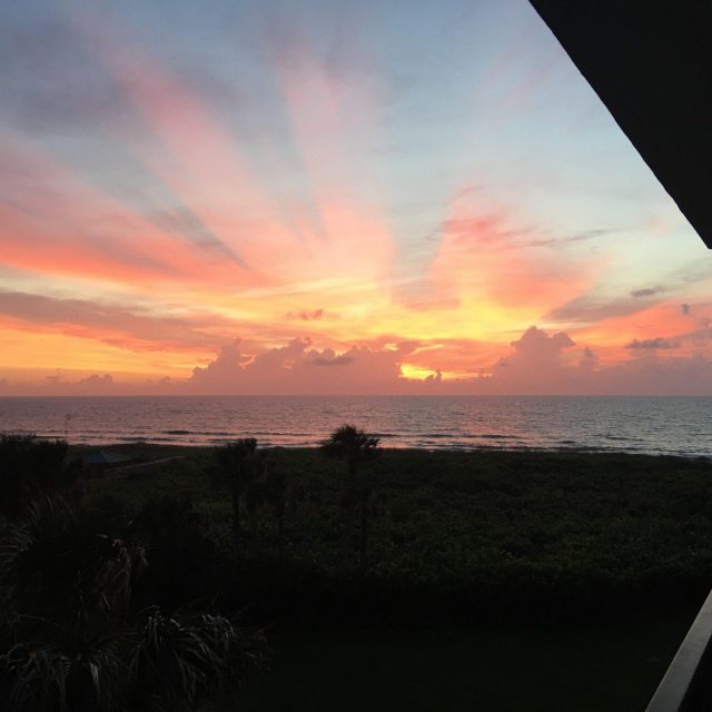 Morning Sun-rays