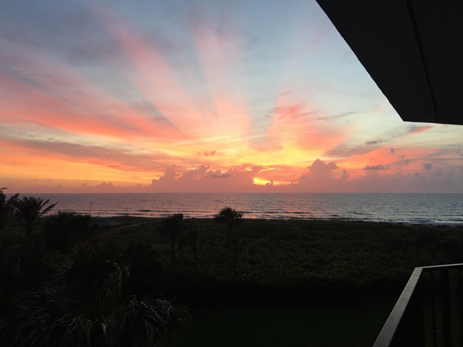 Morning Sun-rays