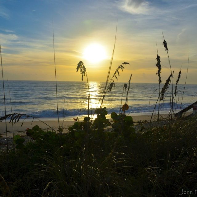 Dunes At Ocean Grill
