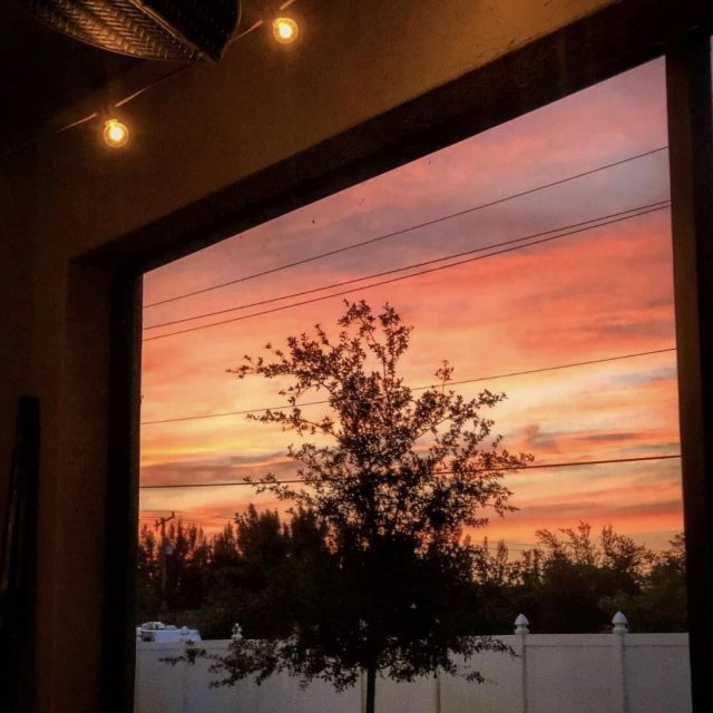 Picture Perfect