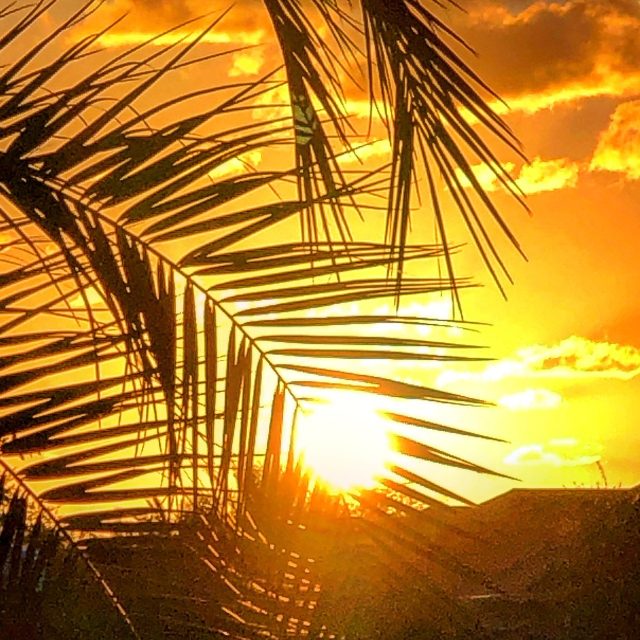 Good Morning Sunshine