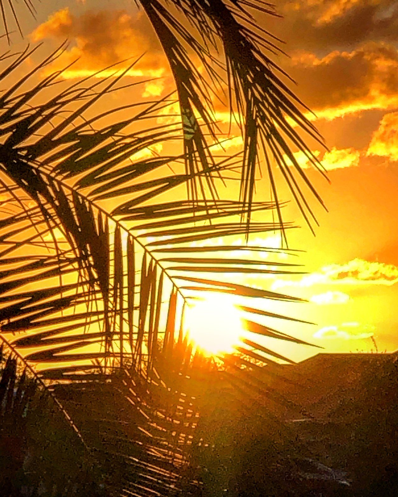 Good Morning Sunshine