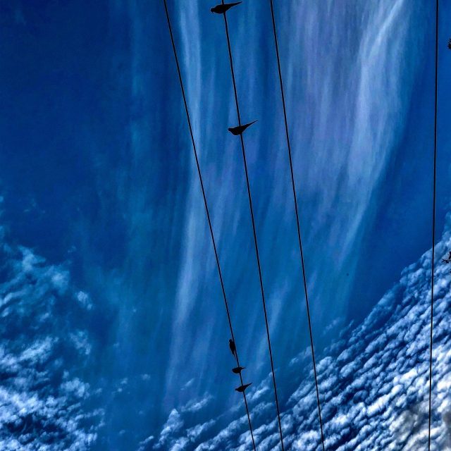 Feeling Blue