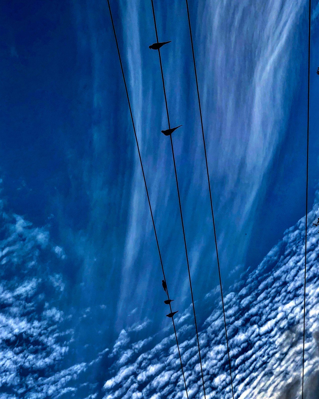 Feeling Blue
