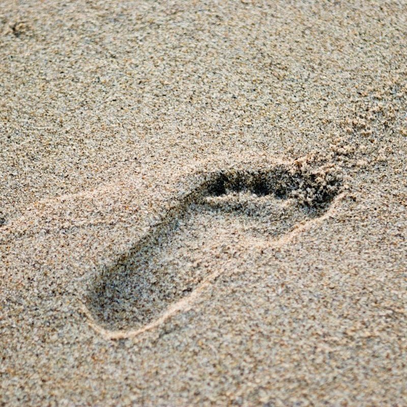 Footprint In The Sand
