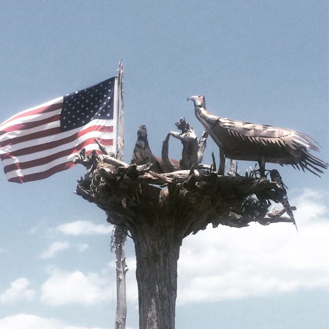 Land Of The Free
