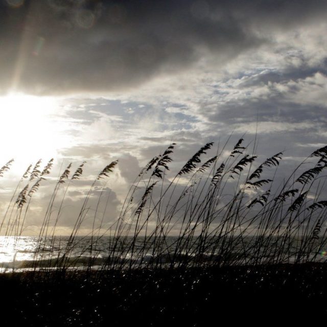 Sea Oats & Sunrise