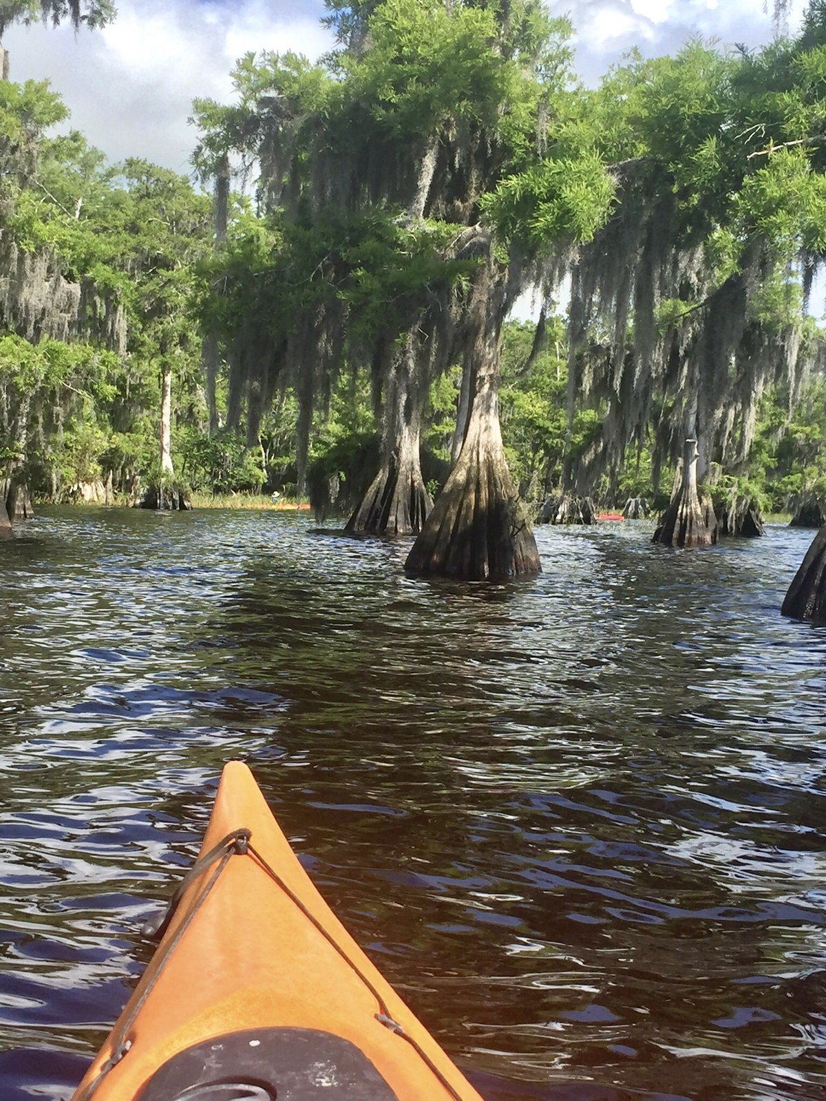 Kayaking Blue Cypress Lake