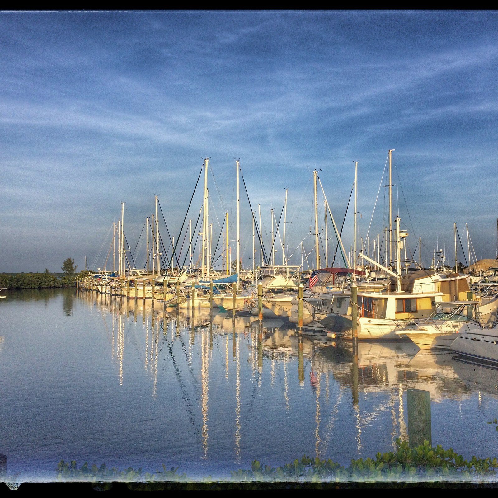 Safe Harbor