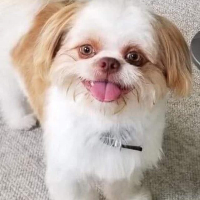 Howdy All