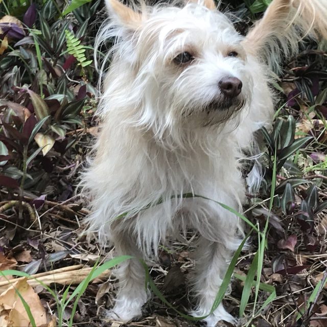 What A "handsome" Little Girl. I ❤️ My Ellie!
