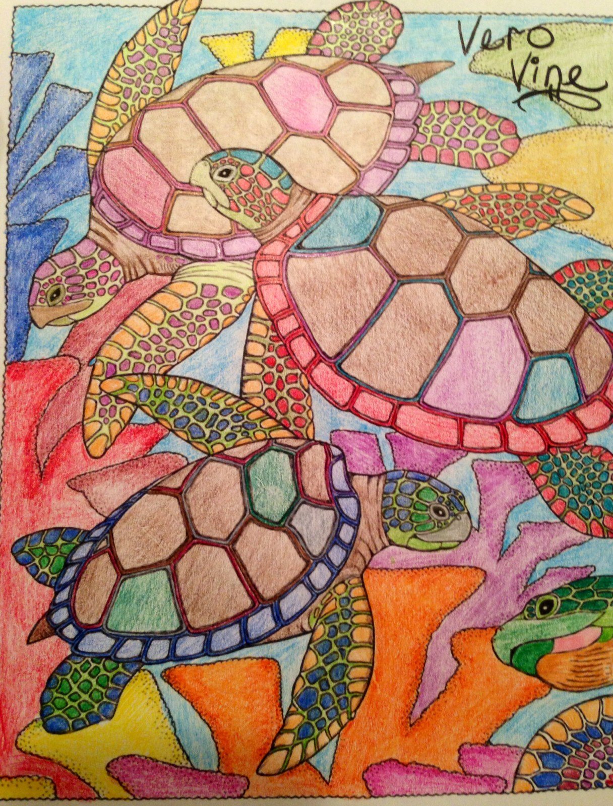 Sea Life In Vero