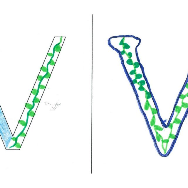 Literal V's
