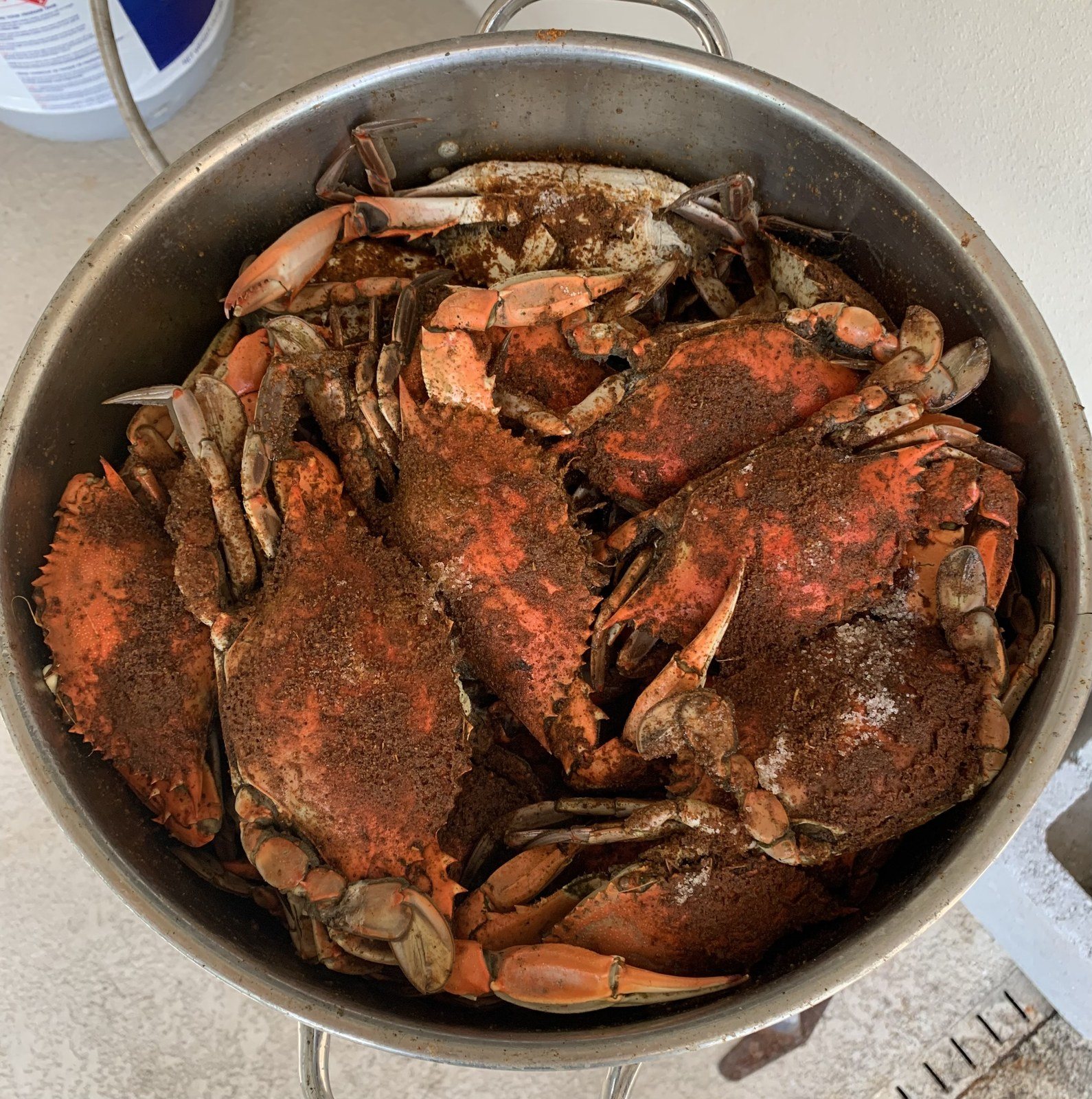 Good Day Crabbing In The Indian River